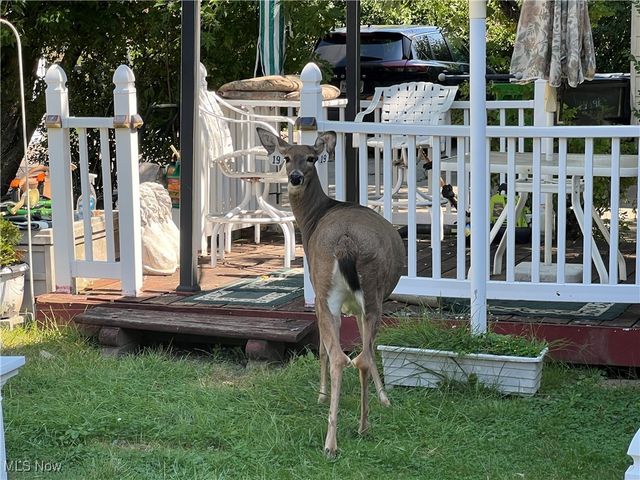 4019 Okalona Road, South Euclid, OH 44121