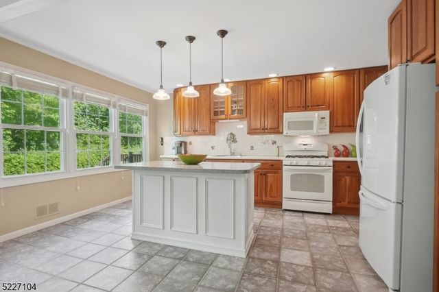 30 Northbridge Pl, Morris Twp., NJ 07960