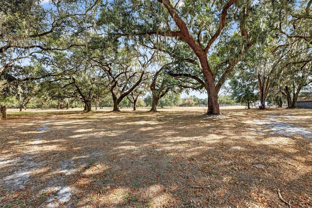 Image 43 of property listing at 4533 SW 37TH TERRACE, Bushnell, FL 33513