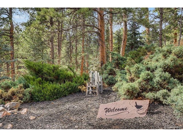 29036 Clover Ln, Evergreen, CO 80439