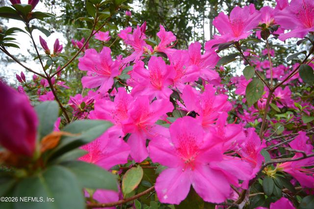 176 LAKE Drive, Florahome, FL 32140