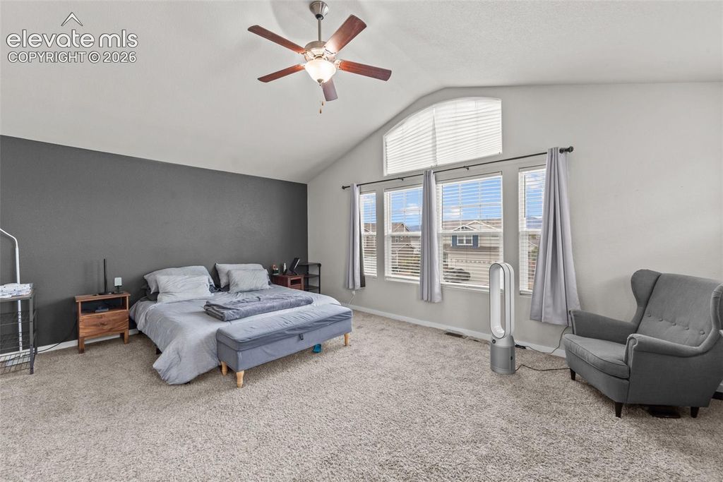 7447 Peachleaf Drive, Colorado Springs, CO 80925 — photo 4