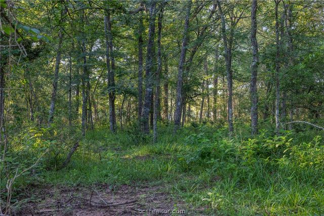 26795 Rice Road, Hockley, TX 77447