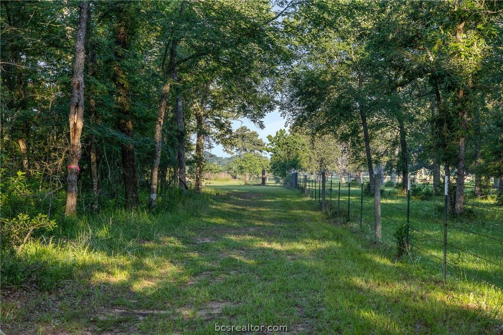 26795 Rice Road, Hockley, TX 77447 — photo 5