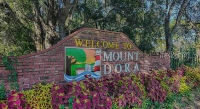 707 PERTH DRIVE, Mount Dora, FL 32757
