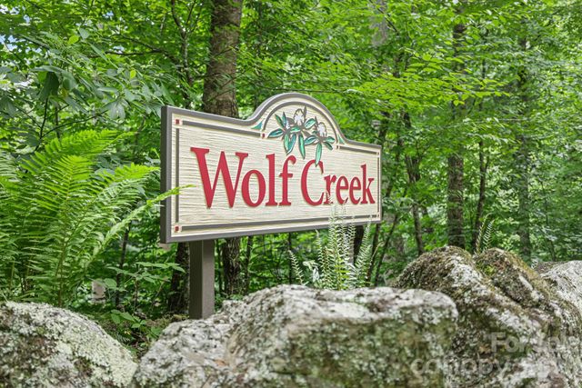 337 Leatherbreeches Drive, Tuckasegee, NC 28783