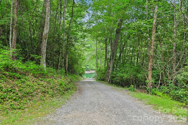 337 Leatherbreeches Drive, Tuckasegee, NC 28783