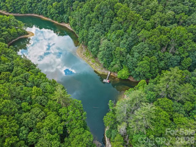 337 Leatherbreeches Drive, Tuckasegee, NC 28783