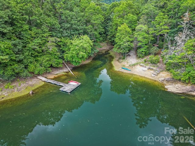 337 Leatherbreeches Drive, Tuckasegee, NC 28783