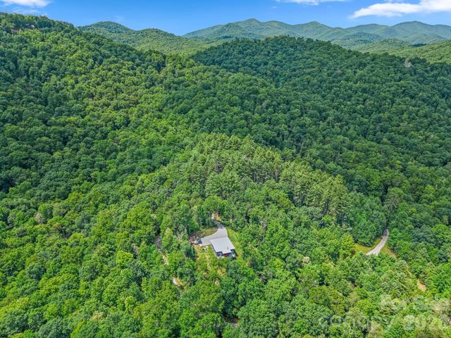 337 Leatherbreeches Drive, Tuckasegee, NC 28783