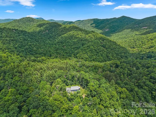 337 Leatherbreeches Drive, Tuckasegee, NC 28783