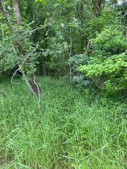 Lot 812 Kaukonahua LN, Bastrop, TX 78602