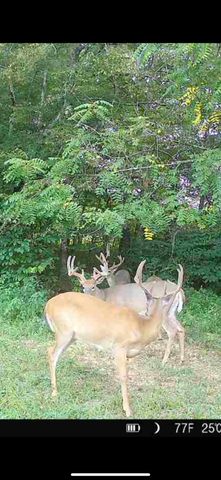 1510 Highway 865, Eubank, KY 42567