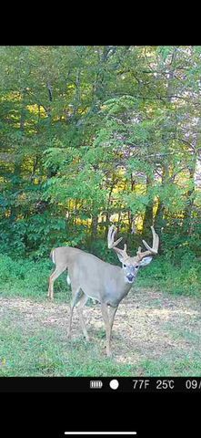1510 Highway 865, Eubank, KY 42567