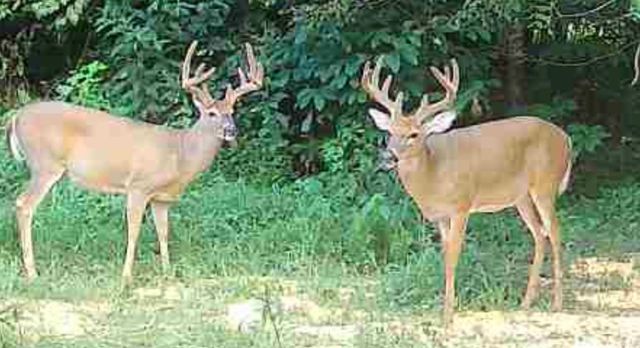 1510 Highway 865, Eubank, KY 42567