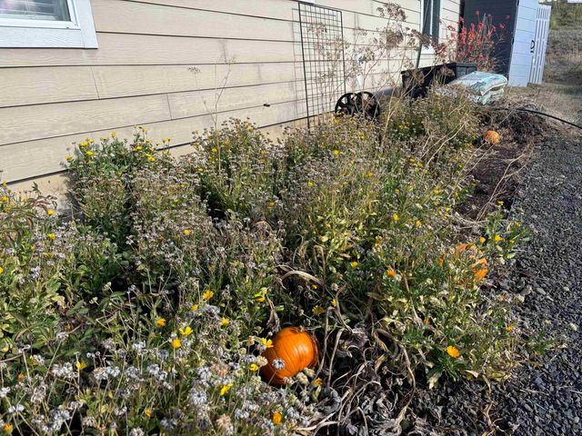 606 Harvest Loop, Palouse, WA 99161