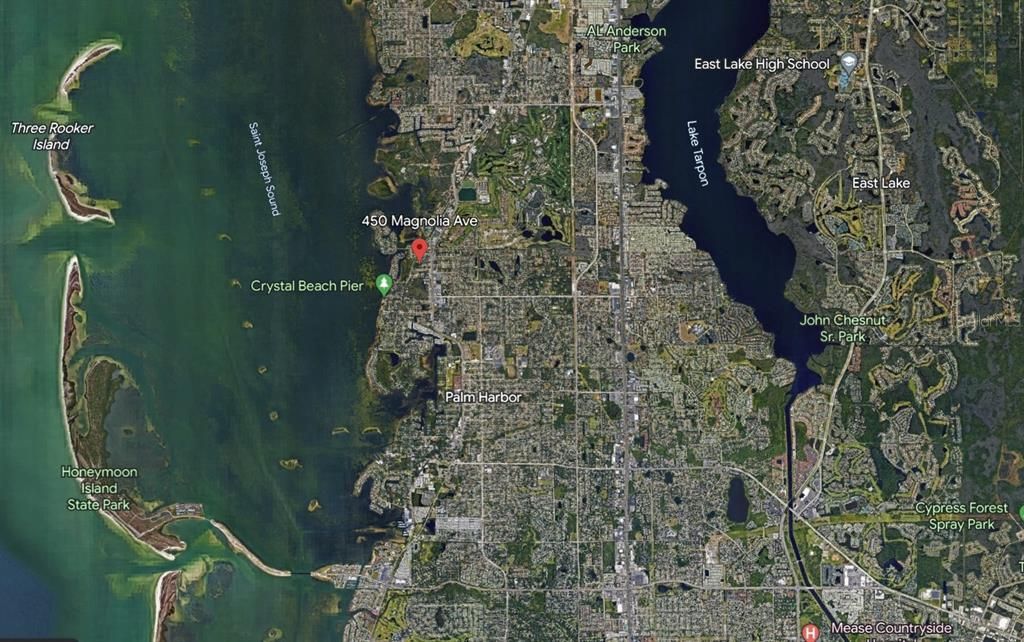 450 MAGNOLIA AVENUE, Palm Harbor, FL 34683