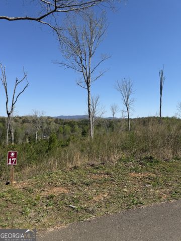 146 Mystic Drive, Ellijay, GA 30540