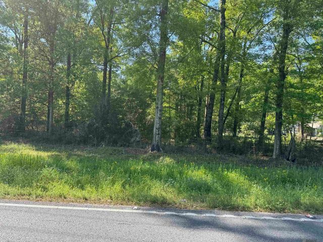 Lot B-1-C La Hwy 16, Denham Springs, LA 70726