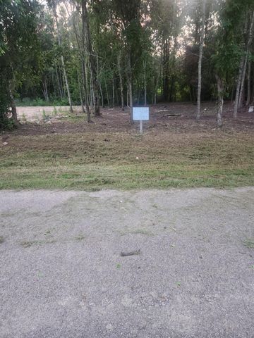 01 N Railroad Avenue, Shepherd, TX 77371