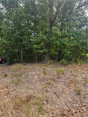 Selkirk Dr/Lanark Lane Lane, Bella Vista, AR 72715