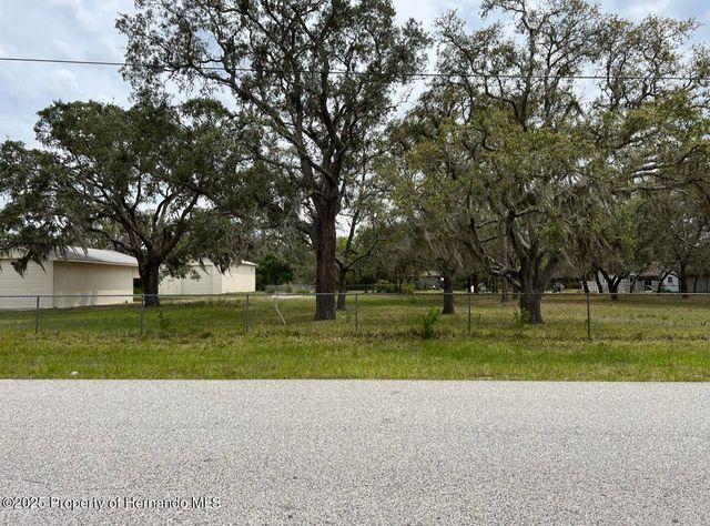 00 Fringe Tree Drive, Shady Hills, FL 34610