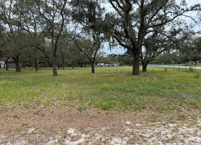 00 Fringe Tree Drive, Shady Hills, FL 34610