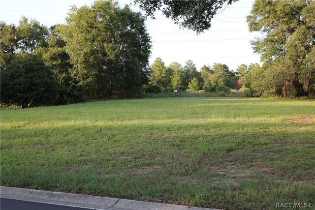 1697 N Wembley Drive, Crystal River, FL 34429