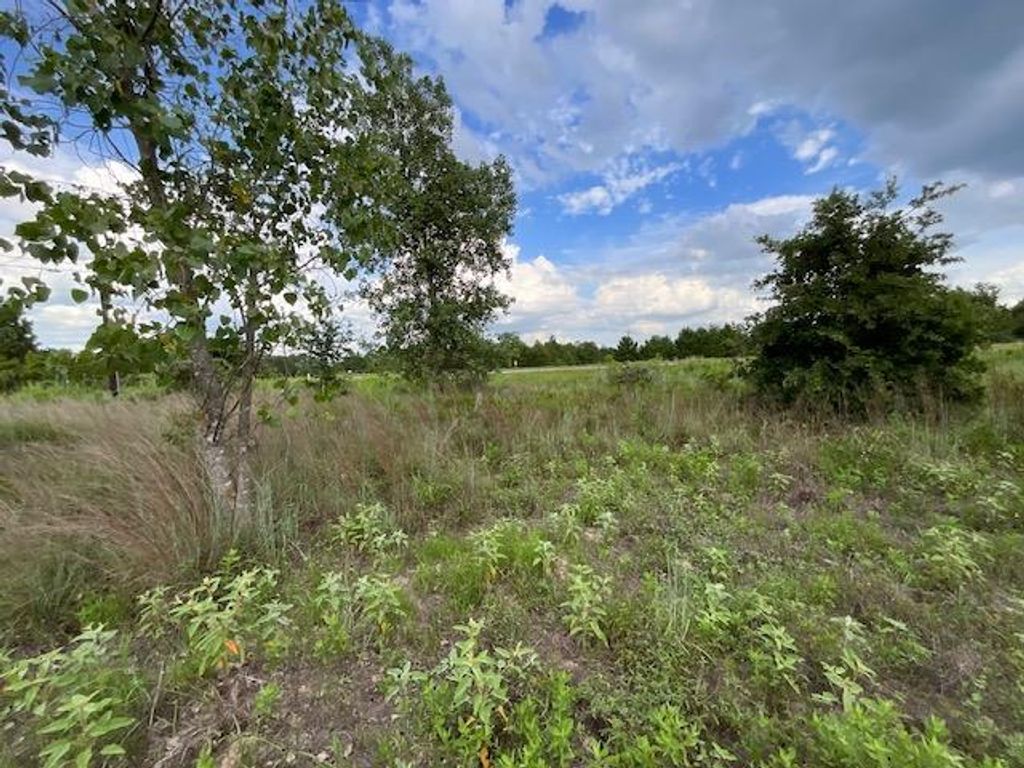 TBD County Rd., Lot 20-C RD, Bastrop, TX 78602