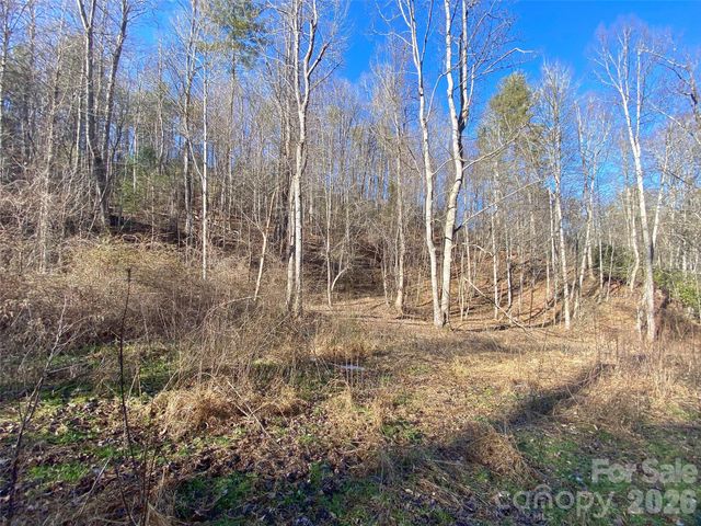 7385 Big Pine Road, Marshall, NC 28753