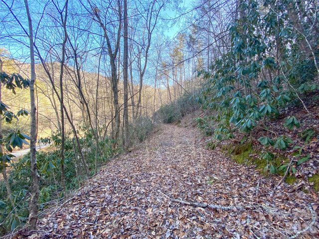 7385 Big Pine Road, Marshall, NC 28753