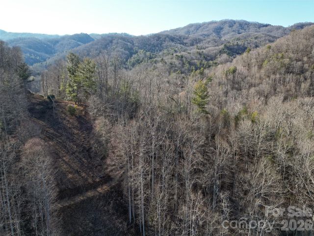 7385 Big Pine Road, Marshall, NC 28753