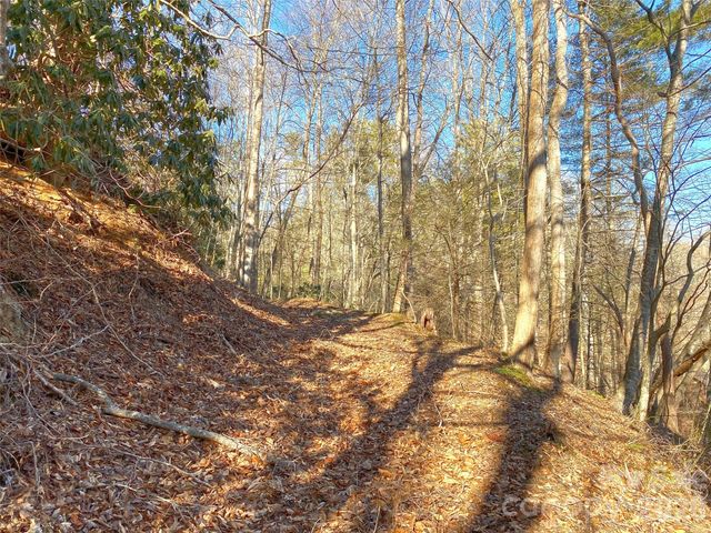 7385 Big Pine Road, Marshall, NC 28753