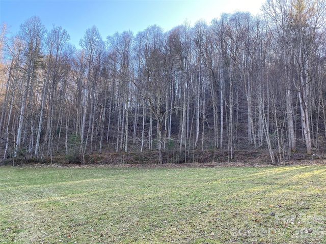 7385 Big Pine Road, Marshall, NC 28753