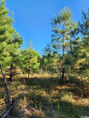 TBD Highway 746, Loris, SC 29569