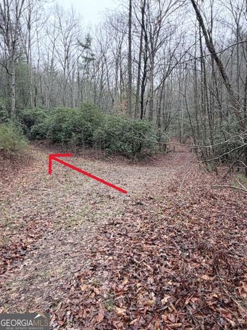225 Smallwood Road, Ellijay, GA 30536