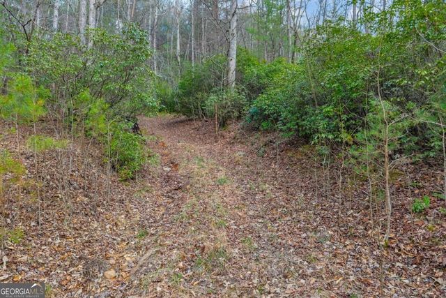 225 Smallwood Road, Ellijay, GA 30536