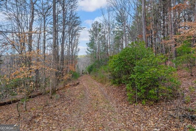 225 Smallwood Road, Ellijay, GA 30536