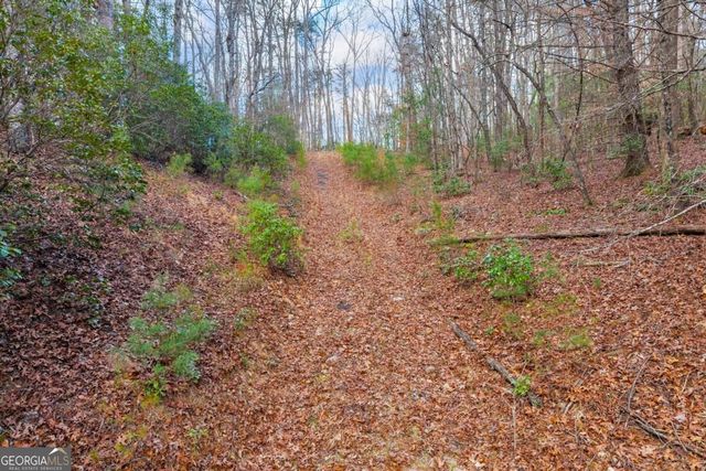 225 Smallwood Road, Ellijay, GA 30536
