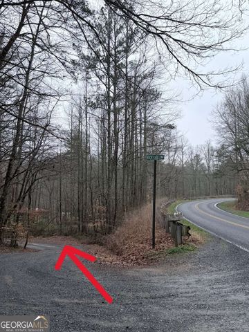 225 Smallwood Road, Ellijay, GA 30536