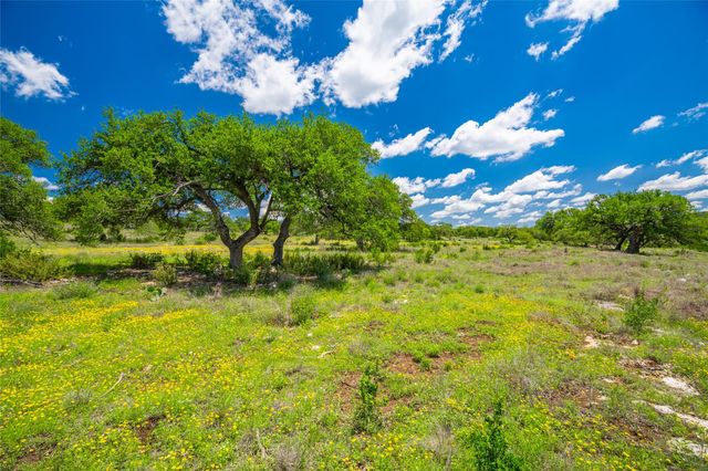 262 Cuesta PASS, Driftwood, TX 78619