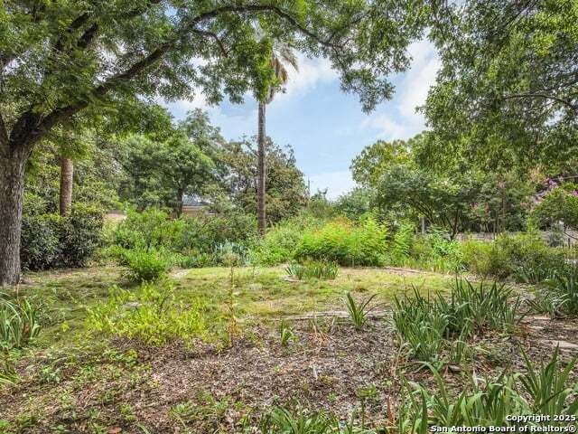 241 KING WILLIAM, San Antonio, TX 78204