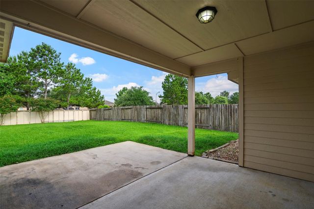 20331 Penny Blume Drive, Hockley, TX 77447
