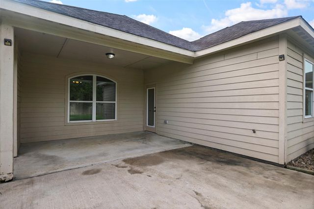 20331 Penny Blume Drive, Hockley, TX 77447