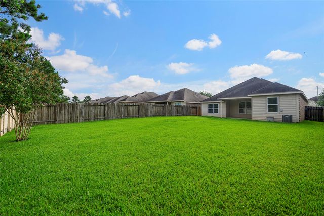 20331 Penny Blume Drive, Hockley, TX 77447