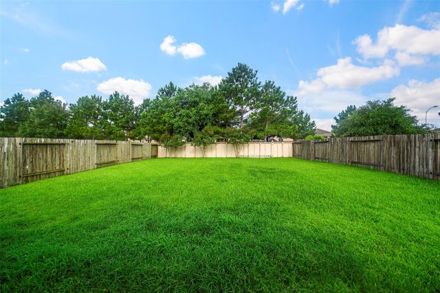 20331 Penny Blume Drive, Hockley, TX 77447
