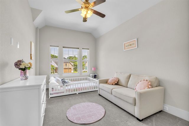 293 Camden Hills Drive, Montgomery, TX 77356