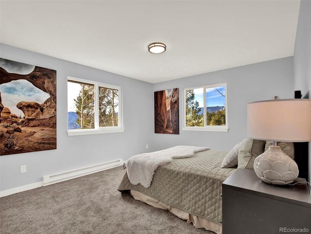 53 Deerhaven Drive, Bailey, CO 80421