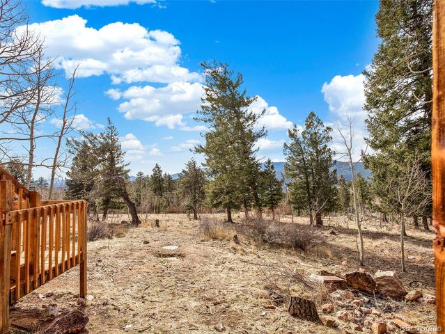 53 Deerhaven Drive, Bailey, CO 80421