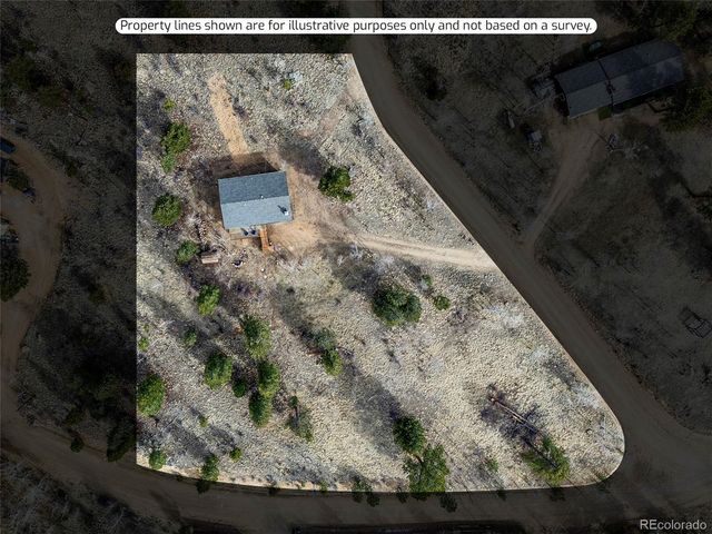 53 Deerhaven Drive, Bailey, CO 80421